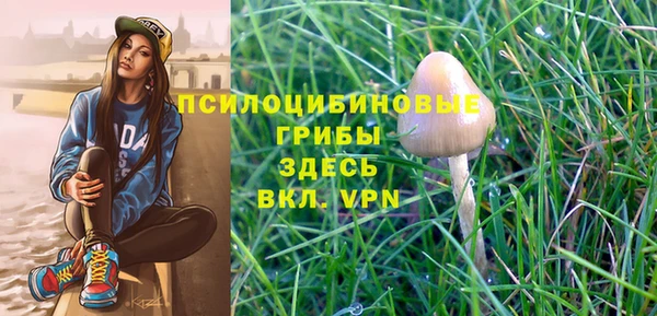 синтетический гашиш Заволжск